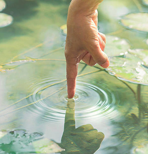 Functional Shift Consulting